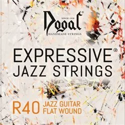 Linea Rossa Vintage Jazz long Scale Flat Wound